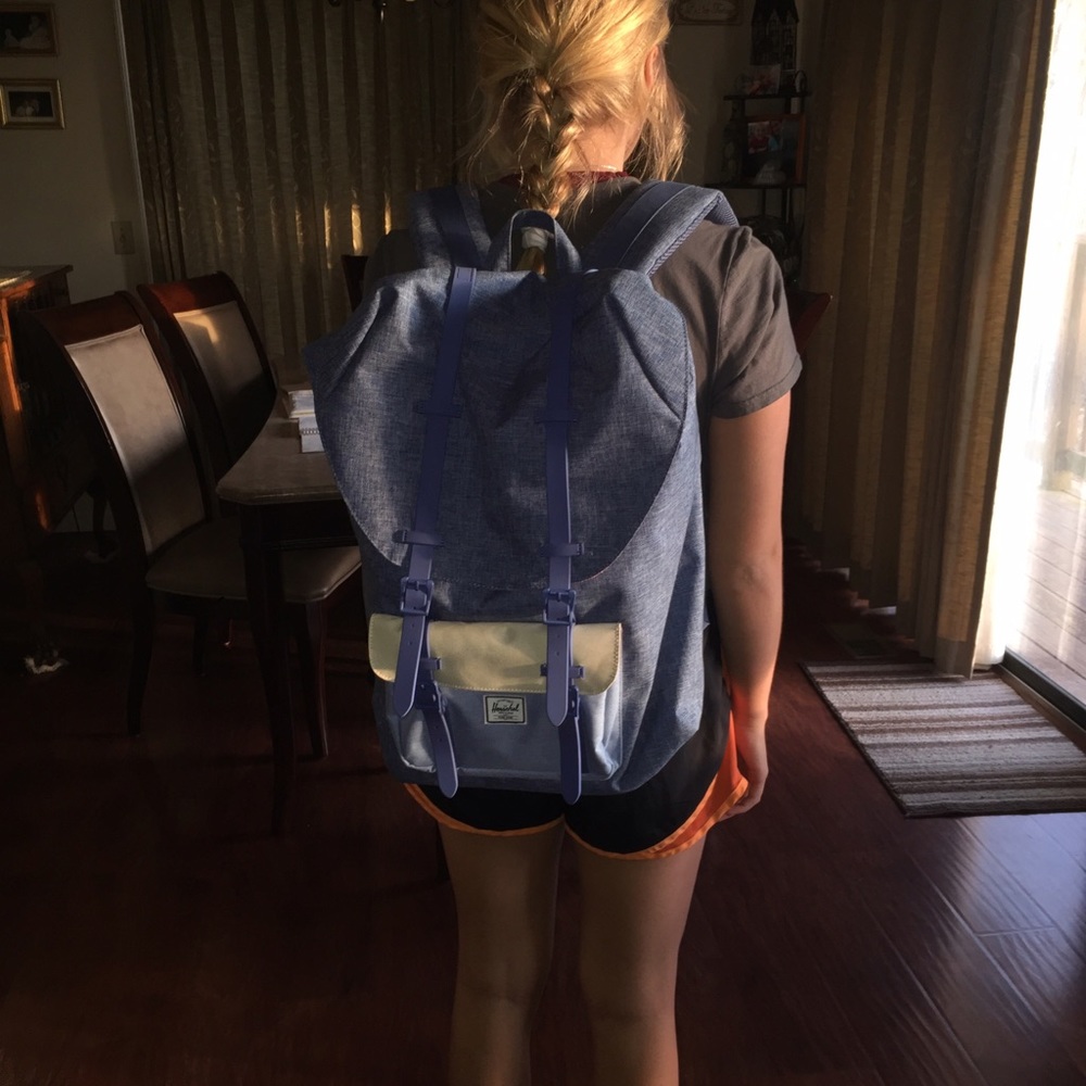 Hershel blue bag
