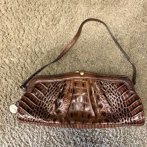 Beautiful Cayman Clutch