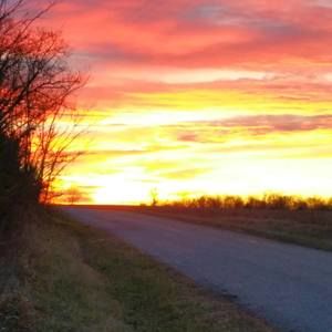 Meet your Posher, Daisy