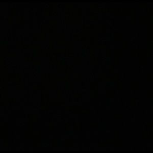 Meet your Posher, Shadi