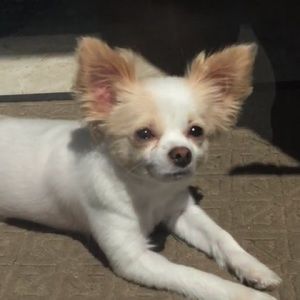 Meet your Posher, Ericka