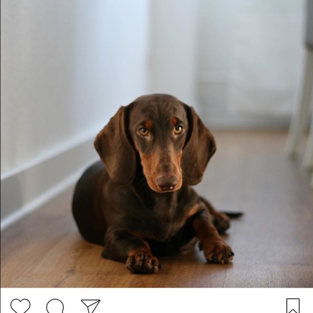 Meet your Posher, Nicole