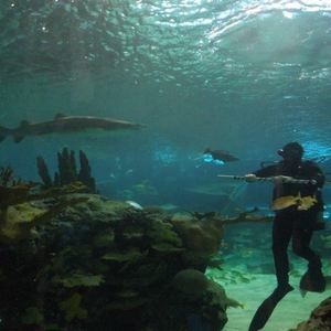 Meet your Posher, Jess