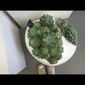 Meet your Posher, Talia