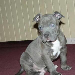 Meet your Posher, Juan