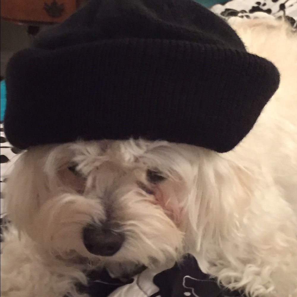 Meet your Posher, Eleanor