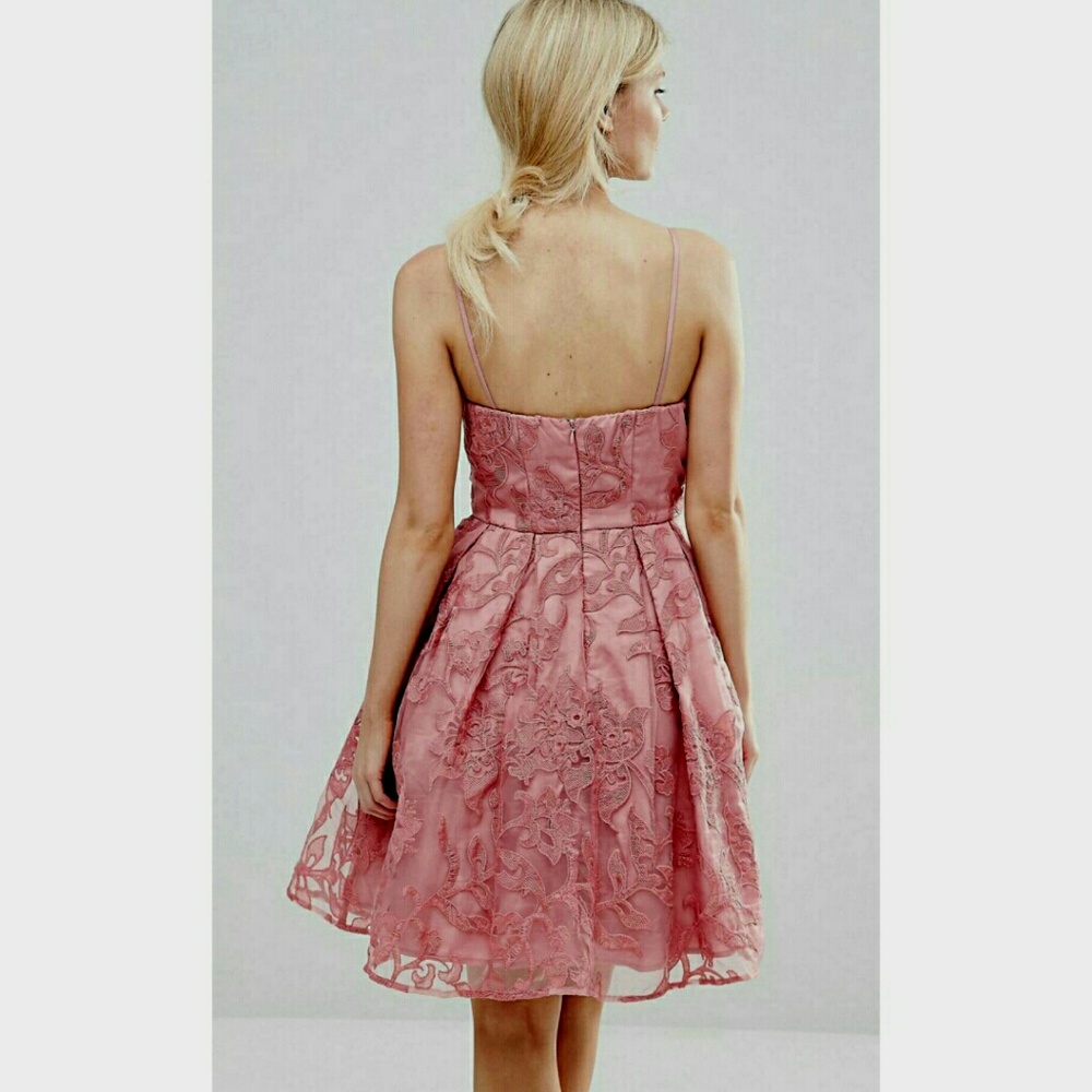 NWT Gorgeous rose burnout embroidered mesh dress - Picture 3 of 6