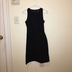 Black Theory Jinxil K Suede Panel Dress Brand New