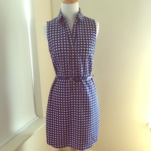 The Limited Blue gingham Ashton dress