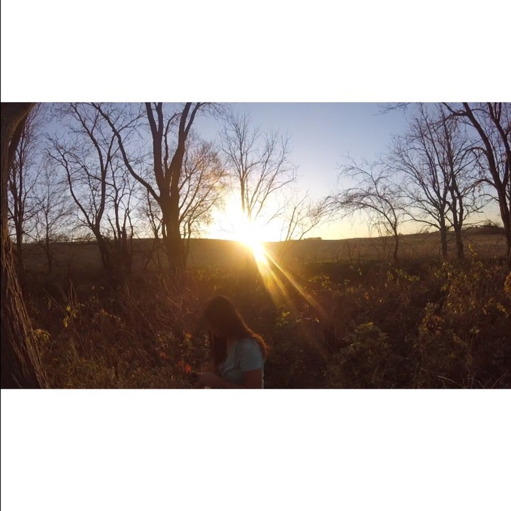 Meet your Posher, Daphne