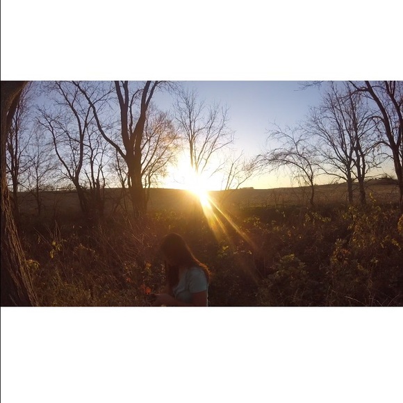 Meet your Posher, Daphne - Picture 1 of 1