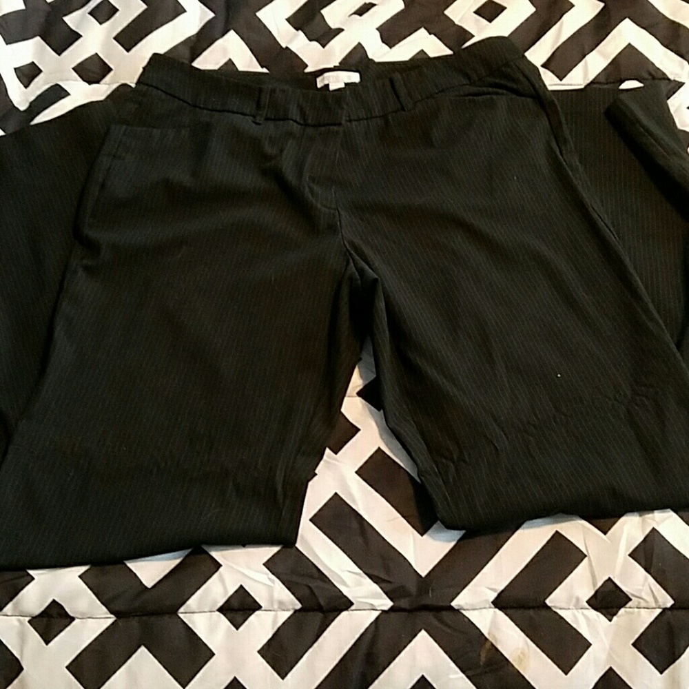New York and company women's pants