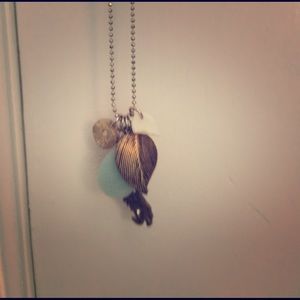 American Eagle Long Necklace