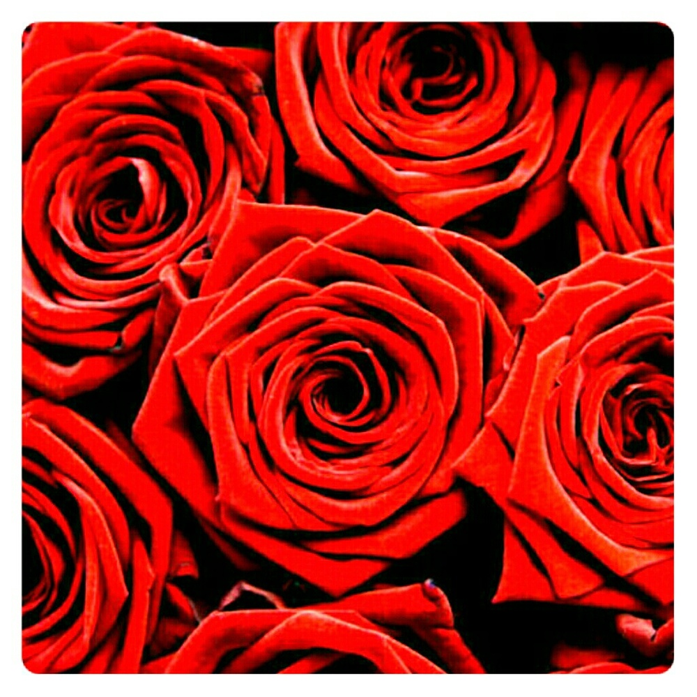 Meet your Posher, Crystal