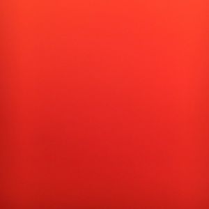 Meet your Posher, Dillon