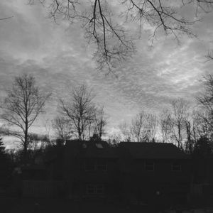 Meet your Posher, Bridgette