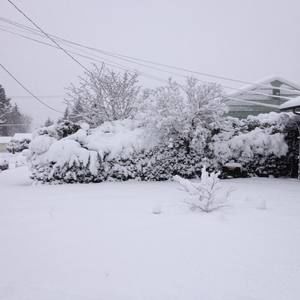 Meet your Posher, Maritza