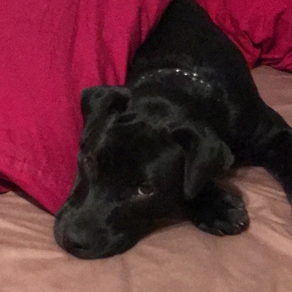 Meet your Posher, Heidi - Picture 5 of 6