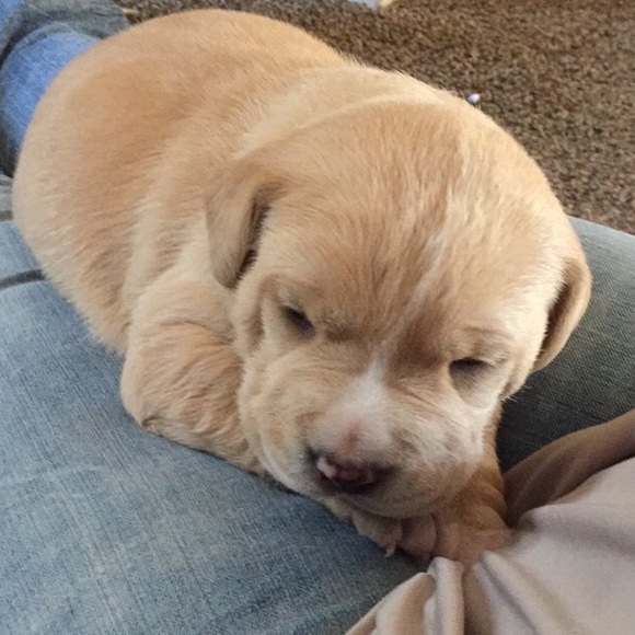 Meet your Posher, Heidi - Picture 6 of 6