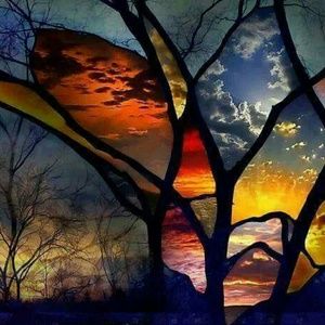 Meet your Posher, Audrey