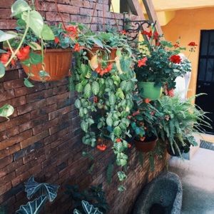 Meet your Posher, Callahan