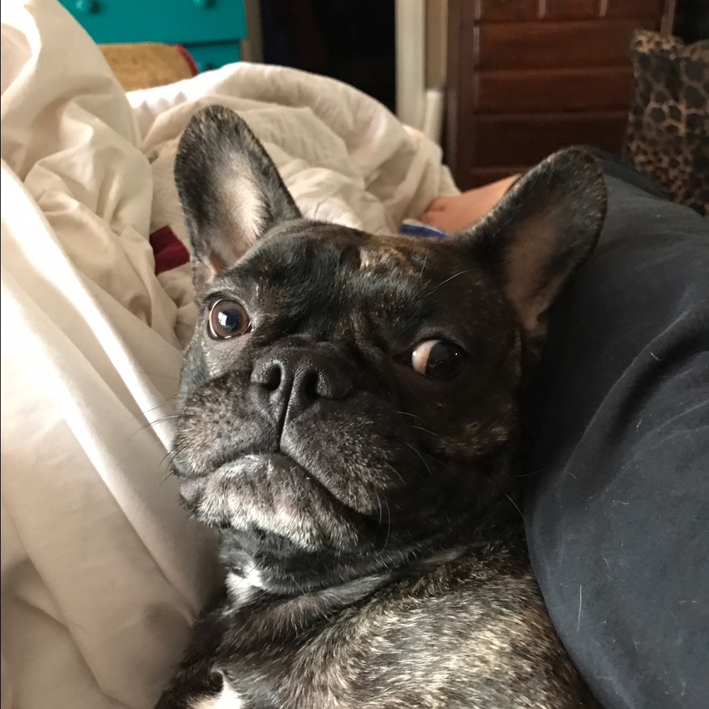 Meet your Posher, Billie