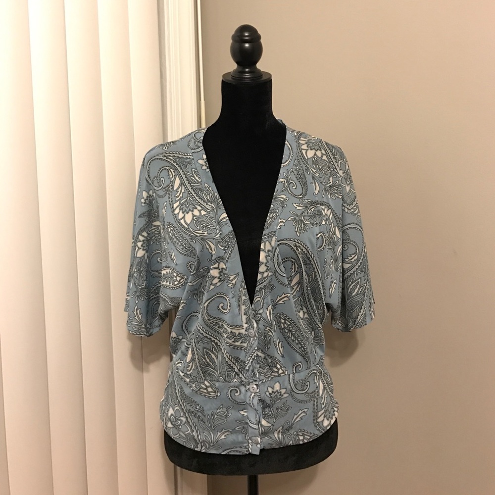 Sheer Button Blouse