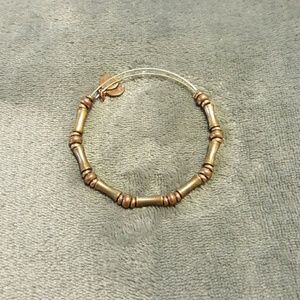 Alex and Ani Bangle