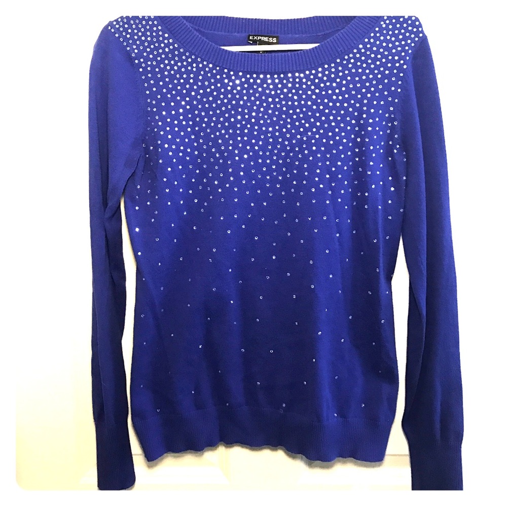 Express blue sequin sweater