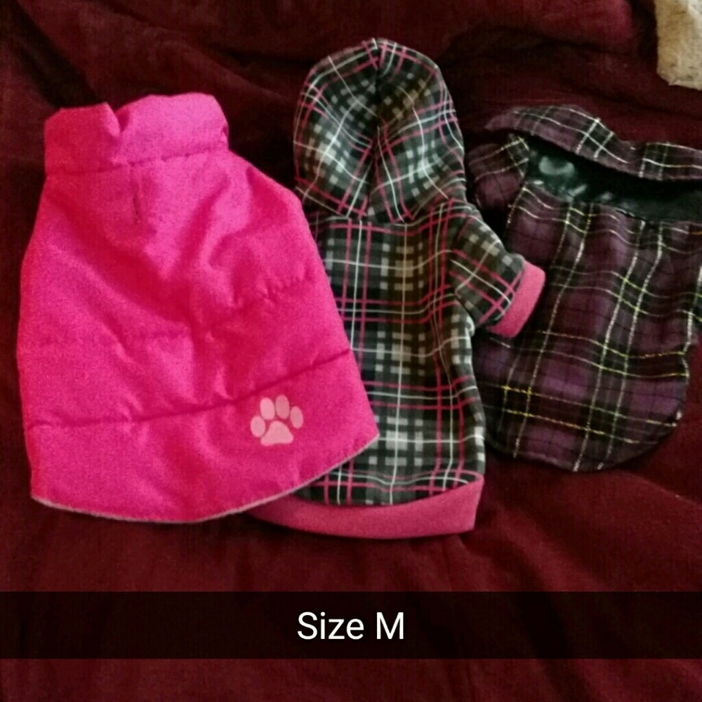 Dog coats