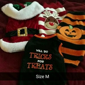 Holiday dog clothes