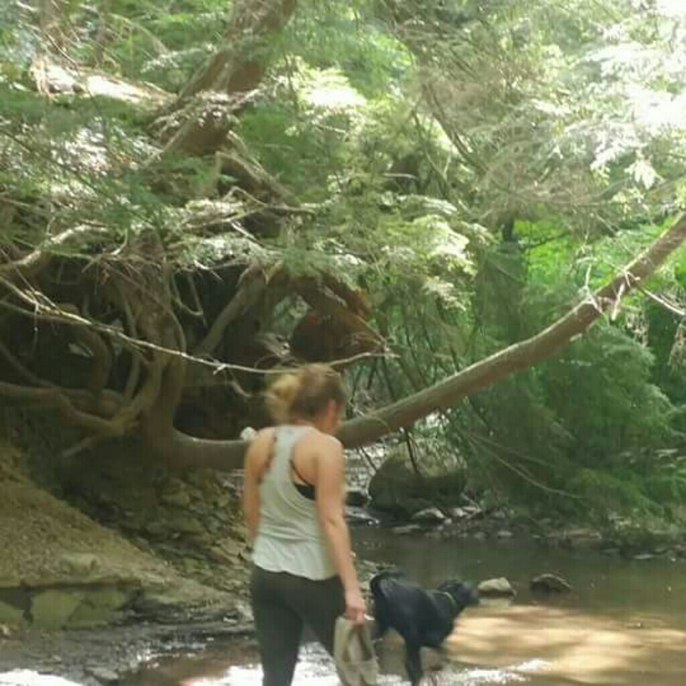 Meet your Posher, Casey