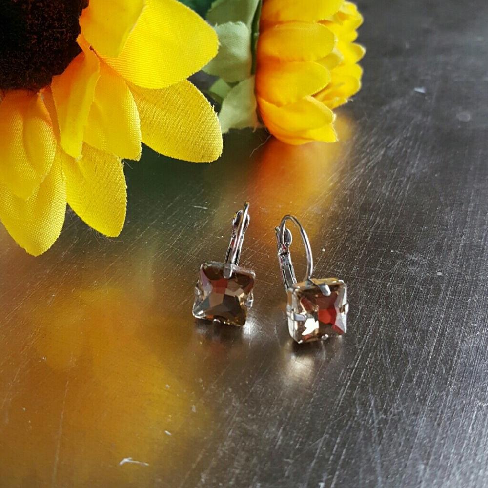 Taupe Earrings