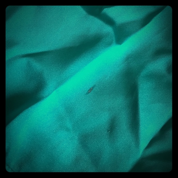 The Limited Sleeveless Green Formal Dress - Picture 4 of 5