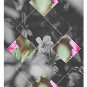 Meet your Posher, Isabelle