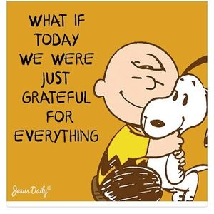 Meet your Posher, Liz