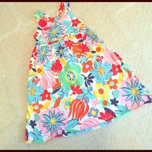 EUC Lands' End Dress