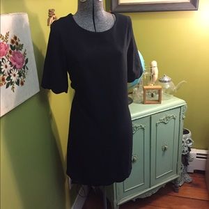 Monteau Dress! NWT 3/4 Sleeves with Scallop hem