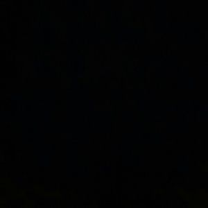 Meet your Posher, Chastity