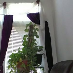 Meet your Posher, Princess