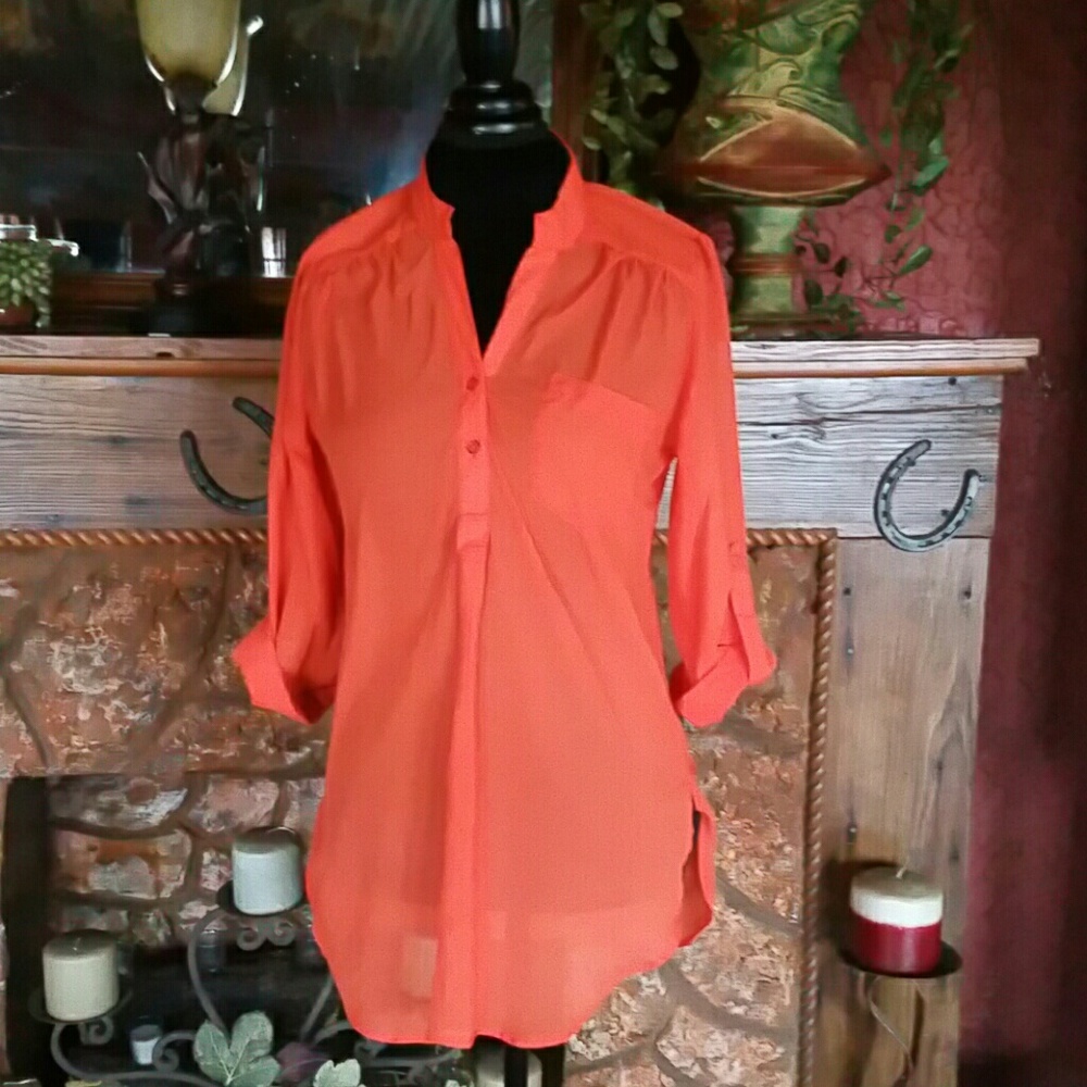 "Wishful Park" Sheer Blouse