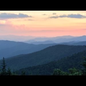 Meet your Posher, Michele