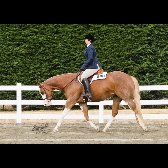 Meet your Posher, Jessica - Picture 2 of 4