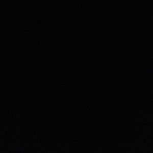 Meet your Posher, Sammy