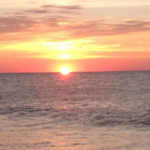 Meet your Posher, Theresa