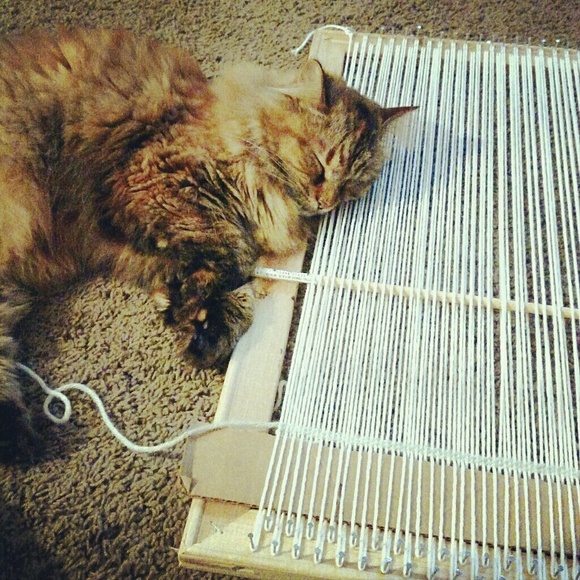 Meet your Posher, Alyssa - Picture 5 of 5