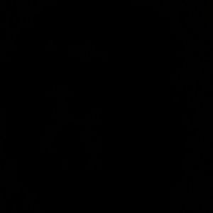 Meet your Posher, Tee