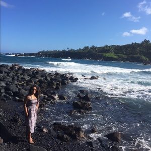 Meet your Posher, Visnee