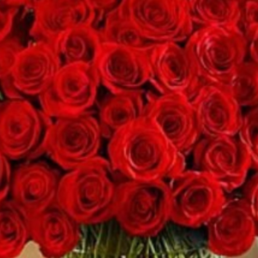 Meet your Posher, Kimber