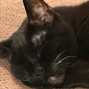 Meet your Posher, Cary